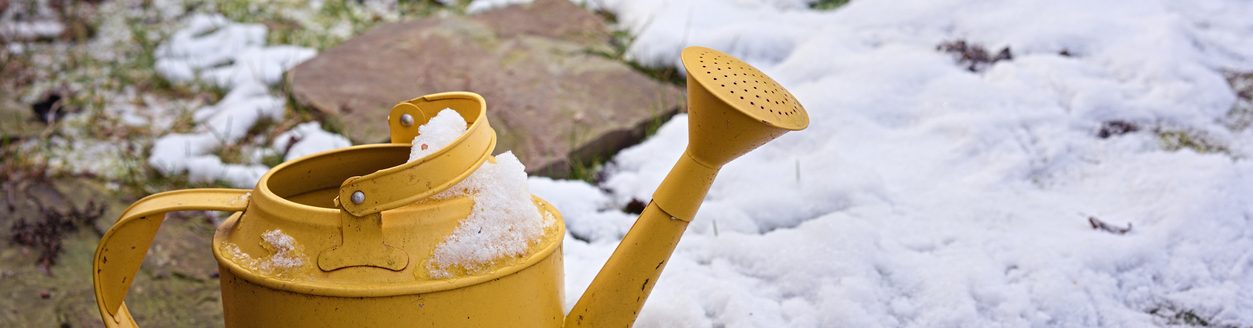 Metal watering can covered with snow. (iStock │ #1297451757 - Artur Henryk Bialosiewicz)