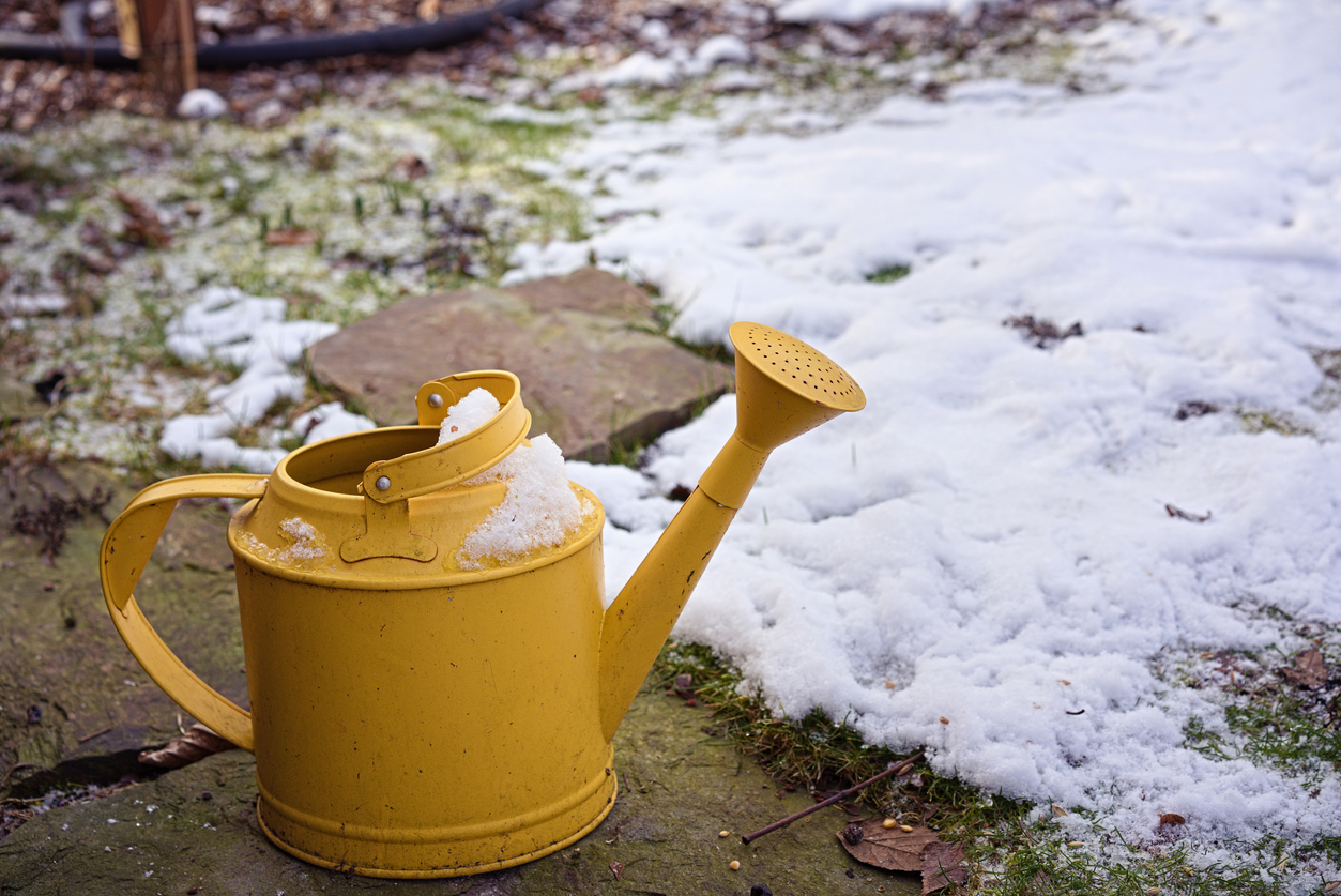 Metal watering can covered with snow. (iStock │ #1297451757 - Artur Henryk Bialosiewicz)