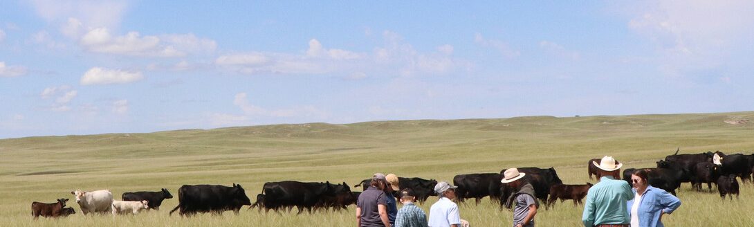 Farm and ranch families are invited to farm and ranch succession workshops offered in February. (Photo by Maria Tibbets)