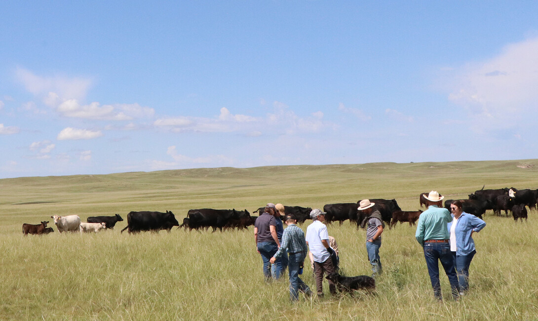 Farm and ranch families are invited to farm and ranch succession workshops offered in February. (Photo by Maria Tibbets)