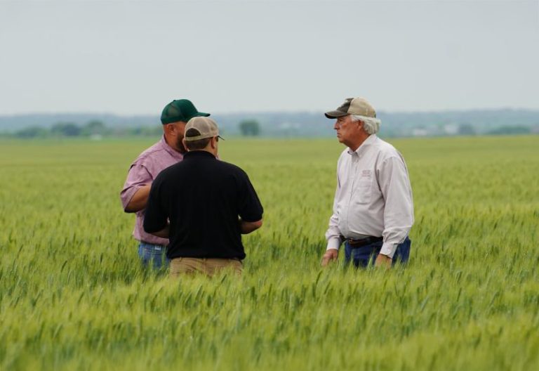 In Hill County Texas, John and Natasha Sawyer have embraced a new era of farming. (Adele Swearingen - USDA Natural Resources Conservation Service)