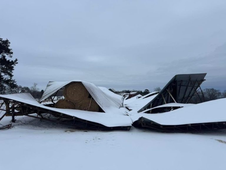 Storm damage in Yell County, AK after significant snowfall, Jan. 24-25, 2026. (Image courtesy Bobby Powell)