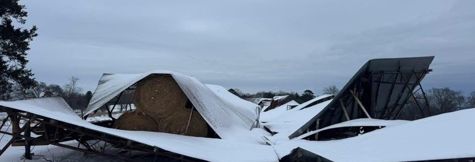 Storm damage in Yell County, AK after significant snowfall, Jan. 24-25, 2026. (Image courtesy Bobby Powell)