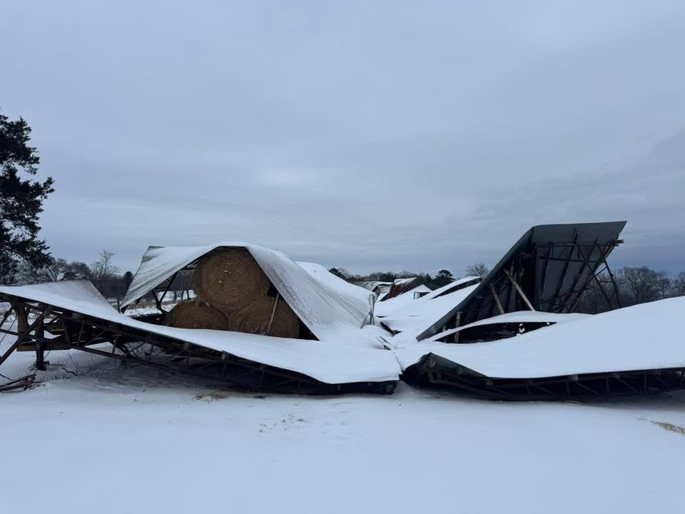Storm damage in Yell County, AK after significant snowfall, Jan. 24-25, 2026. (Image courtesy Bobby Powell)