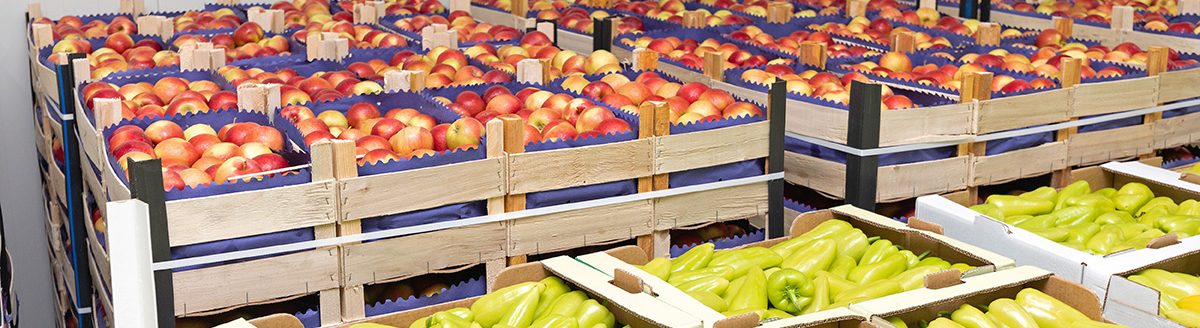 Apples and peppers crates. (Adobe Stock │ #308601356 - markobe)