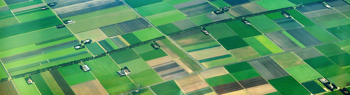 Aerial view of cultivated agricultural farming land with vivid green color. (Adobe Stock │ #312193210 - sizsus)