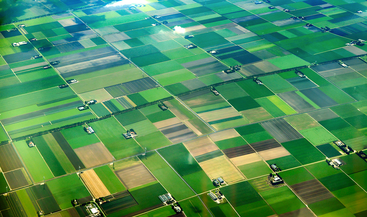 Aerial view of cultivated agricultural farming land with vivid green color. (Adobe Stock │ #312193210 - sizsus)