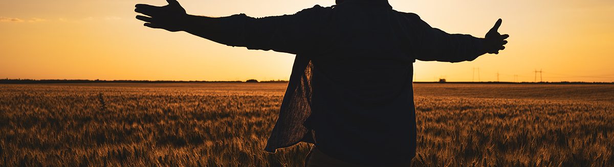 Farmer is standing in his growing wheat field. (Adobe Stock │ #439789431 - djoronimo)
