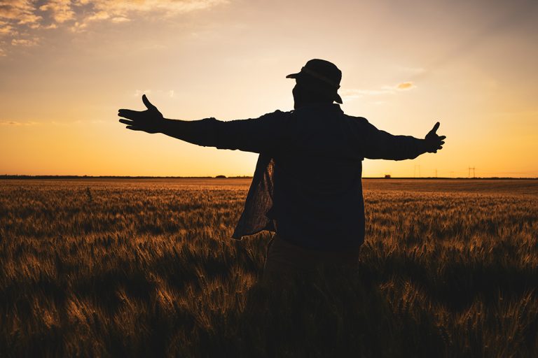 Farmer is standing in his growing wheat field. (Adobe Stock │ #439789431 - djoronimo)