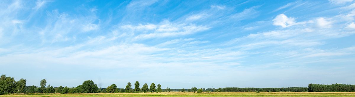 Beautiful green fields against blue cloudy sky. (Adobe Stock │ #449067244 - Piotr Krzeslak)