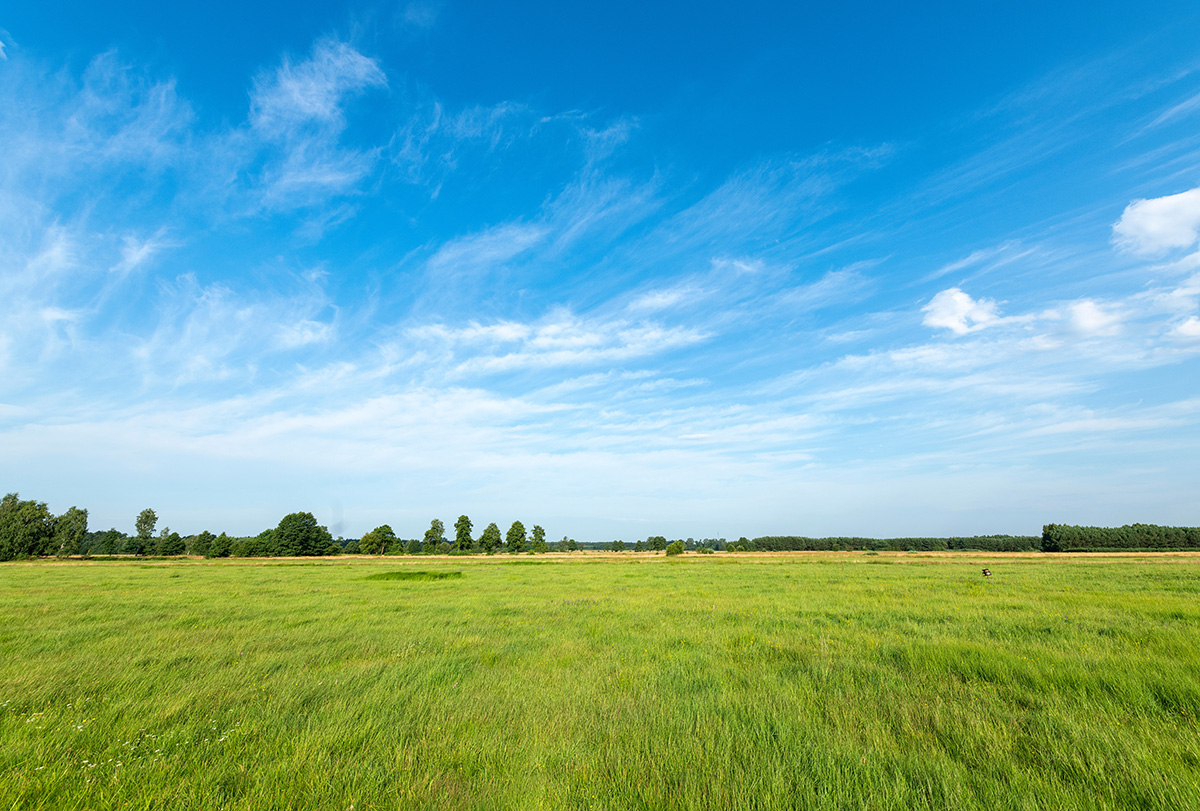 Beautiful green fields against blue cloudy sky. (Adobe Stock │ #449067244 - Piotr Krzeslak)