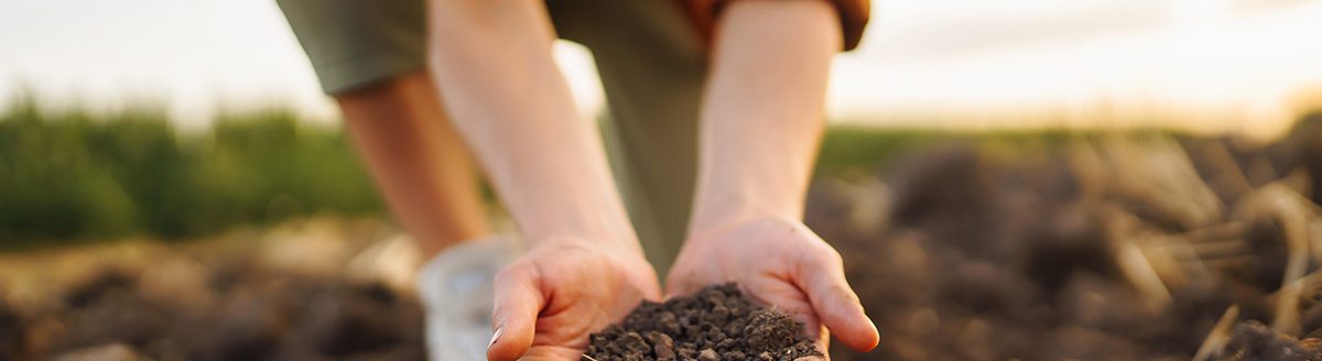Woman checking soil health before growth a seed of vegetable or plant seedling. (Adobe Stock │ #572997453 - maxbelchenko)