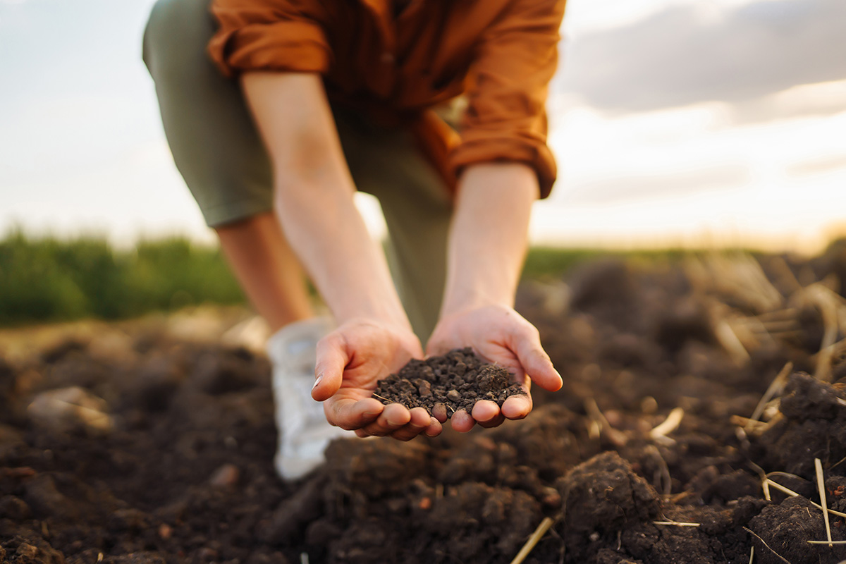 Woman checking soil health before growth a seed of vegetable or plant seedling. (Adobe Stock │ #572997453 - maxbelchenko)