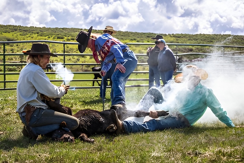 Faith Hamlin and her team brand a calf. The photo is part of the new Larsh Bristol Photojournalism Fellowship presentation, “Unseen Hands.” (Shelby Sinclair Photo)