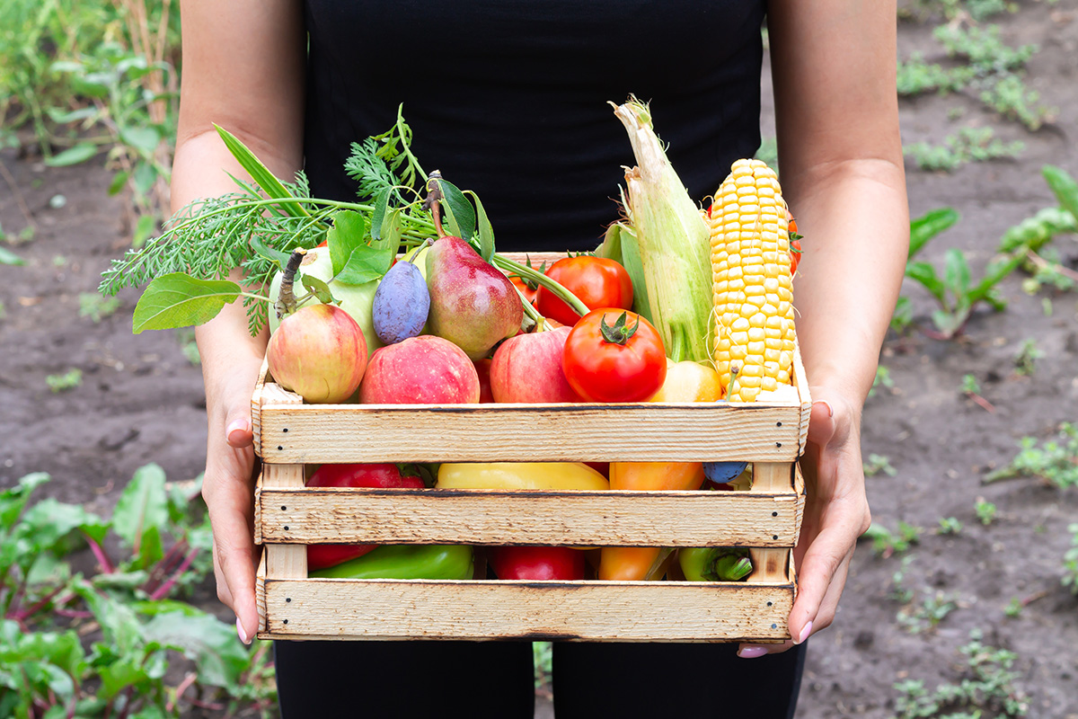 Person holding wooden crate box of vegetables and fruit from organic garden. (Adobe Stock │ 422800358 - Дмитрий Сидор)
