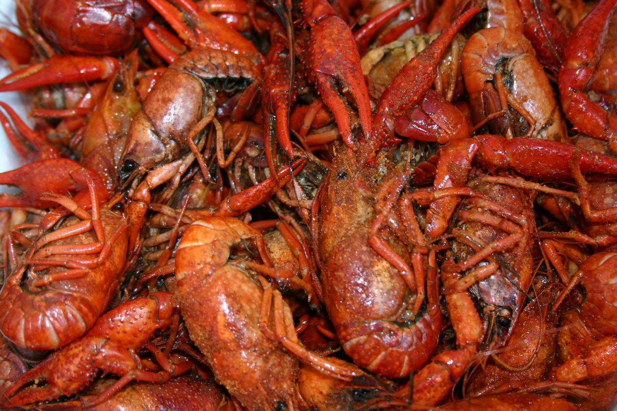Boiled Crawfish. (iStock-#139402992 │ FMontoya)