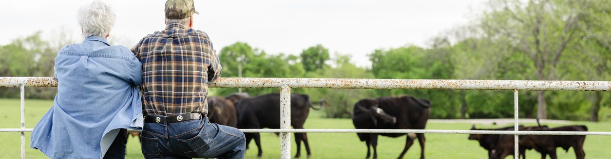 After a long day of farm chores, a senior adult couple stands by the fence to admire their herd of cattle in the pasture. (iStock-#2161180473 │ SDI Productions)