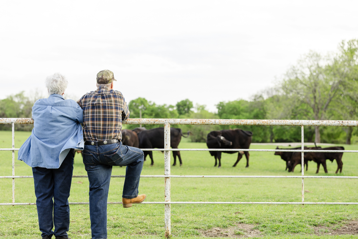 After a long day of farm chores, a senior adult couple stands by the fence to admire their herd of cattle in the pasture. (iStock-#2161180473 │ SDI Productions)
