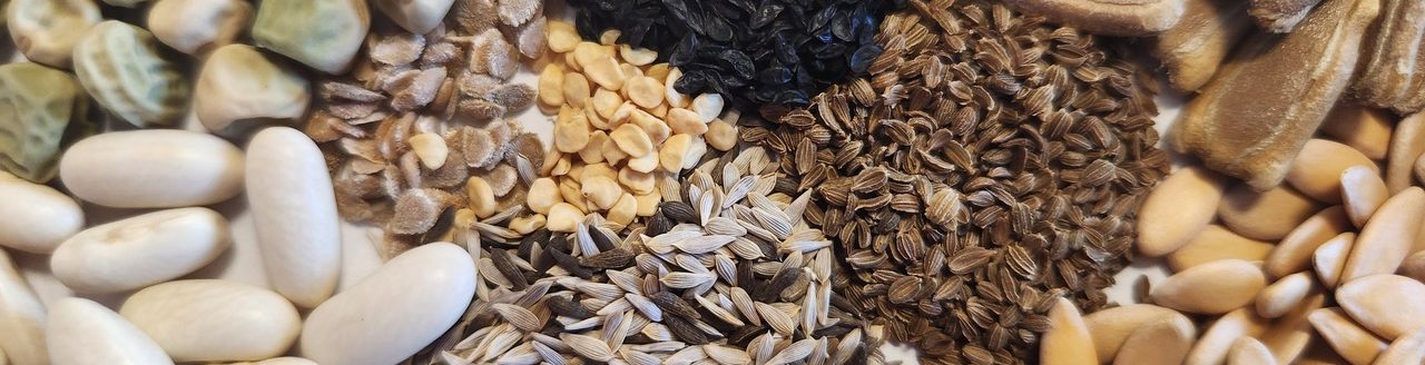 The success of your garden depends on seed selection. Compare availability, pricing, shipping rates and discounts to help determine what works for your garden. Photo by Katie Kammler.