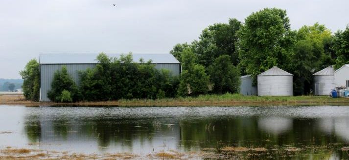 In this 2019 file photo, flooding in crop fields leaves behind debris and submerged plants that may die or suffer yield damage. (Photo by Linda Geist)
