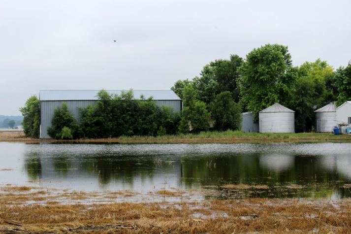 In this 2019 file photo, flooding in crop fields leaves behind debris and submerged plants that may die or suffer yield damage. (Photo by Linda Geist)
