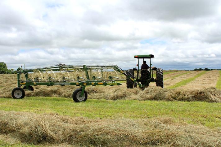 Hay field (Photo by Linda Geist - University of Missouri Extension)