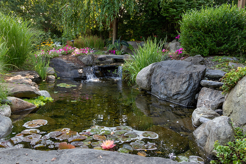 Landscape architecture for spring and summer garden featuring a pond. (Adobe Stock-#451868350 │ rabbitti)