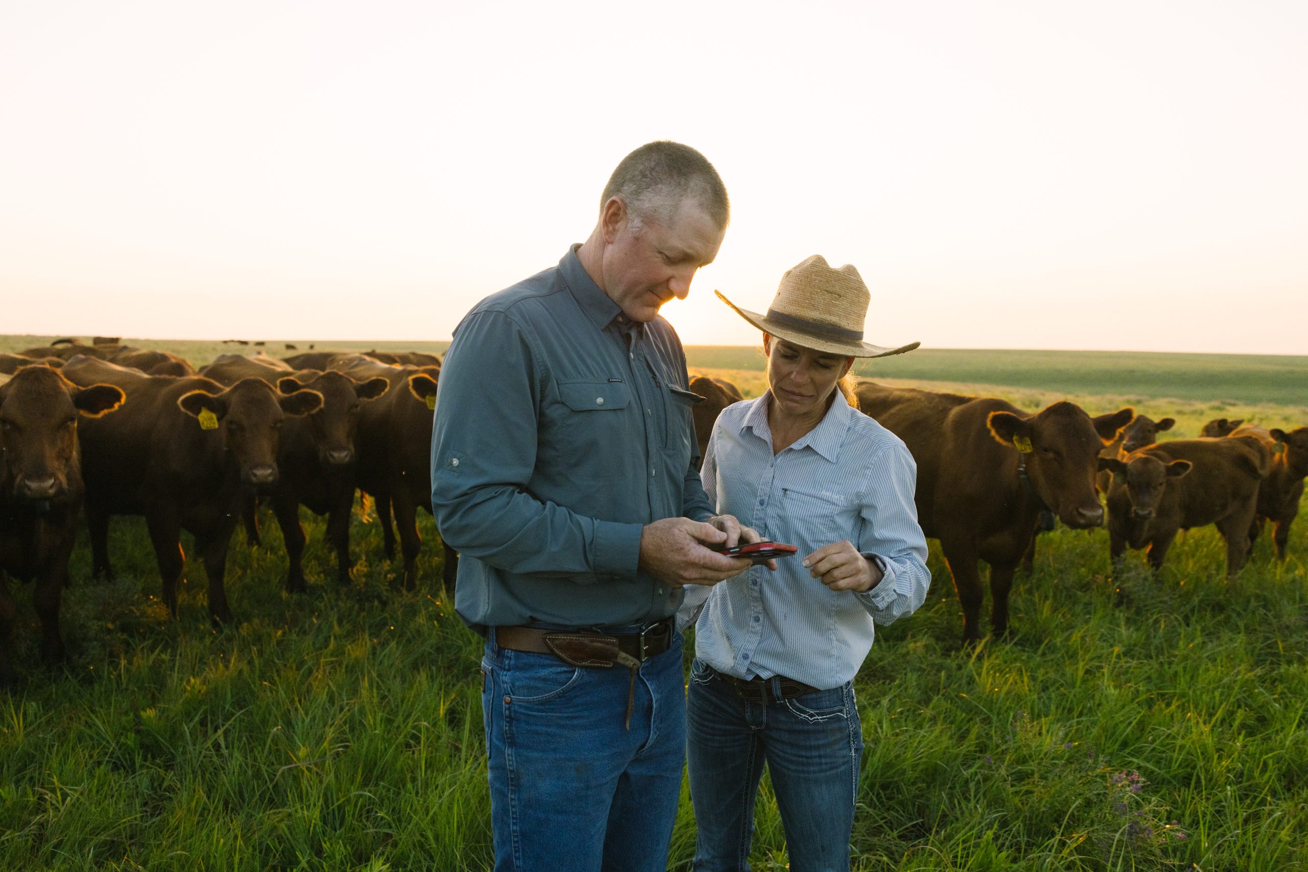 Daniel and Christine Mushrush use Halter technology to help manage their Red Angus herd in the Flint Hills of Kansas. (Courtesy photo.)