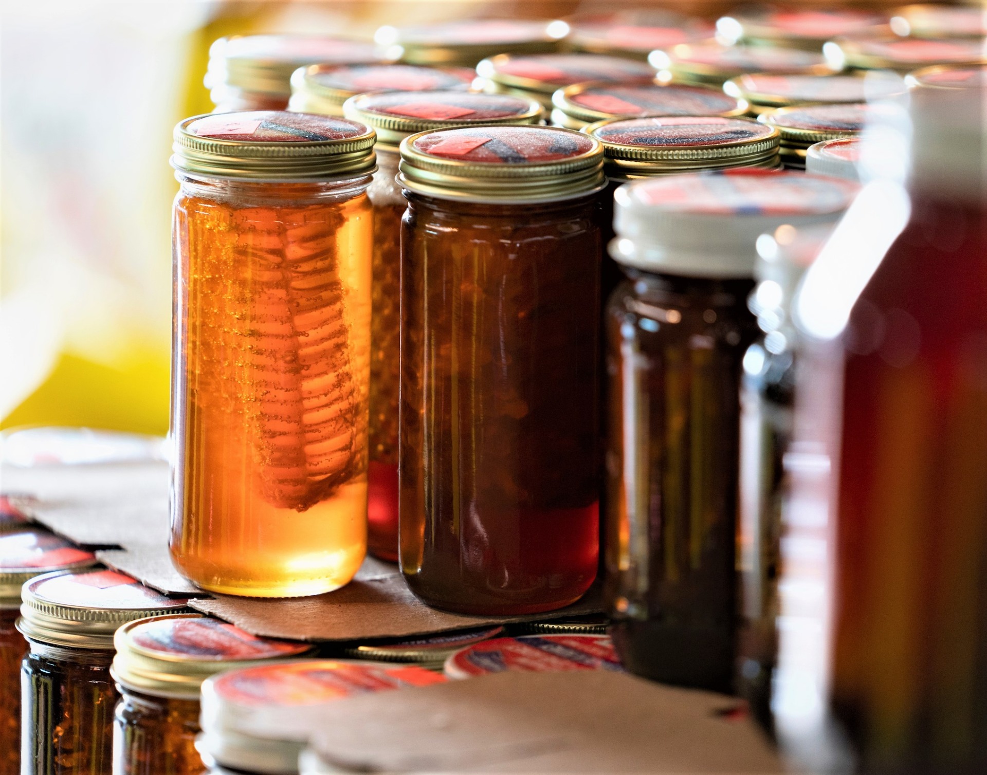 Despite lower commercial honey production, small-scale beekeepers in some regions of the state reported stronger honey yields during the 2025 production season. (Courtney Sacco and Laura McKenzie/Texas A&M AgriLife)
