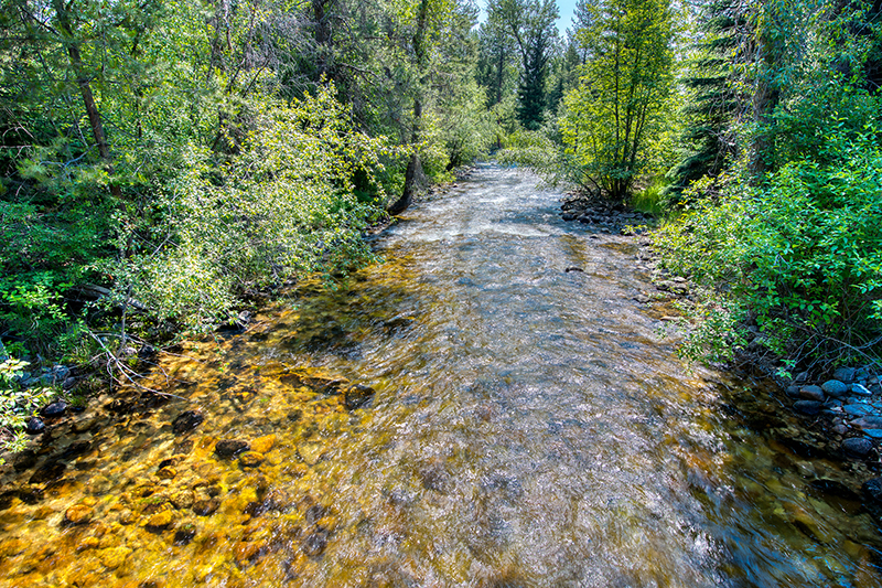 Tin Cup Creek (Courtesy of Hall and Hall)