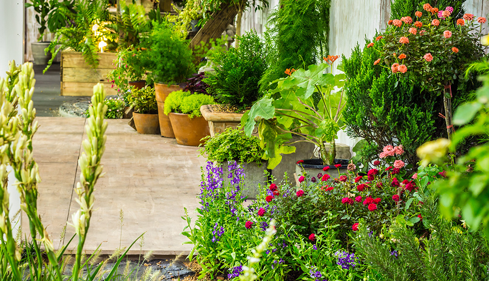 Flower pot decoration in cozy home flower garden. (Adobe Stock-#220506404 │ moccabunny)