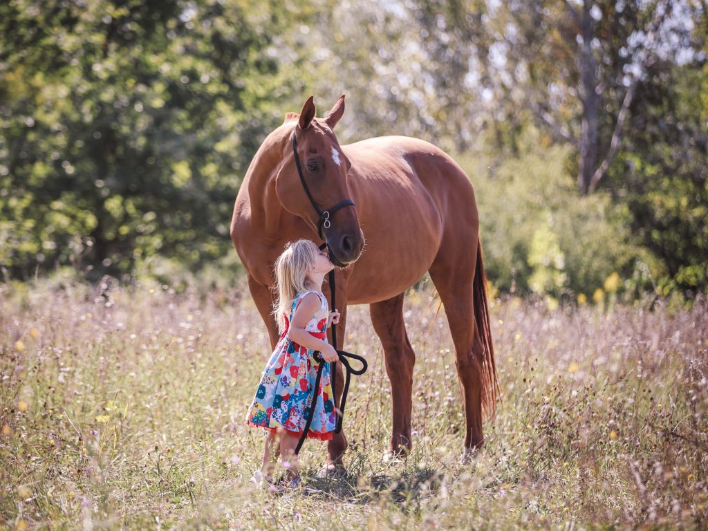 Farm safety reminders become critical as school lets out