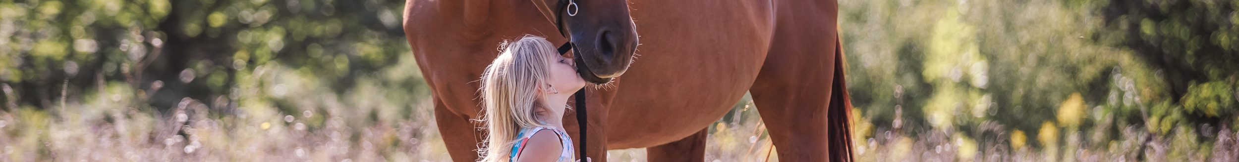 Tender relationship of a little girl and a big beautiful horse. (Adobe Stock-#354694925 │ Елизавета Мяловская)