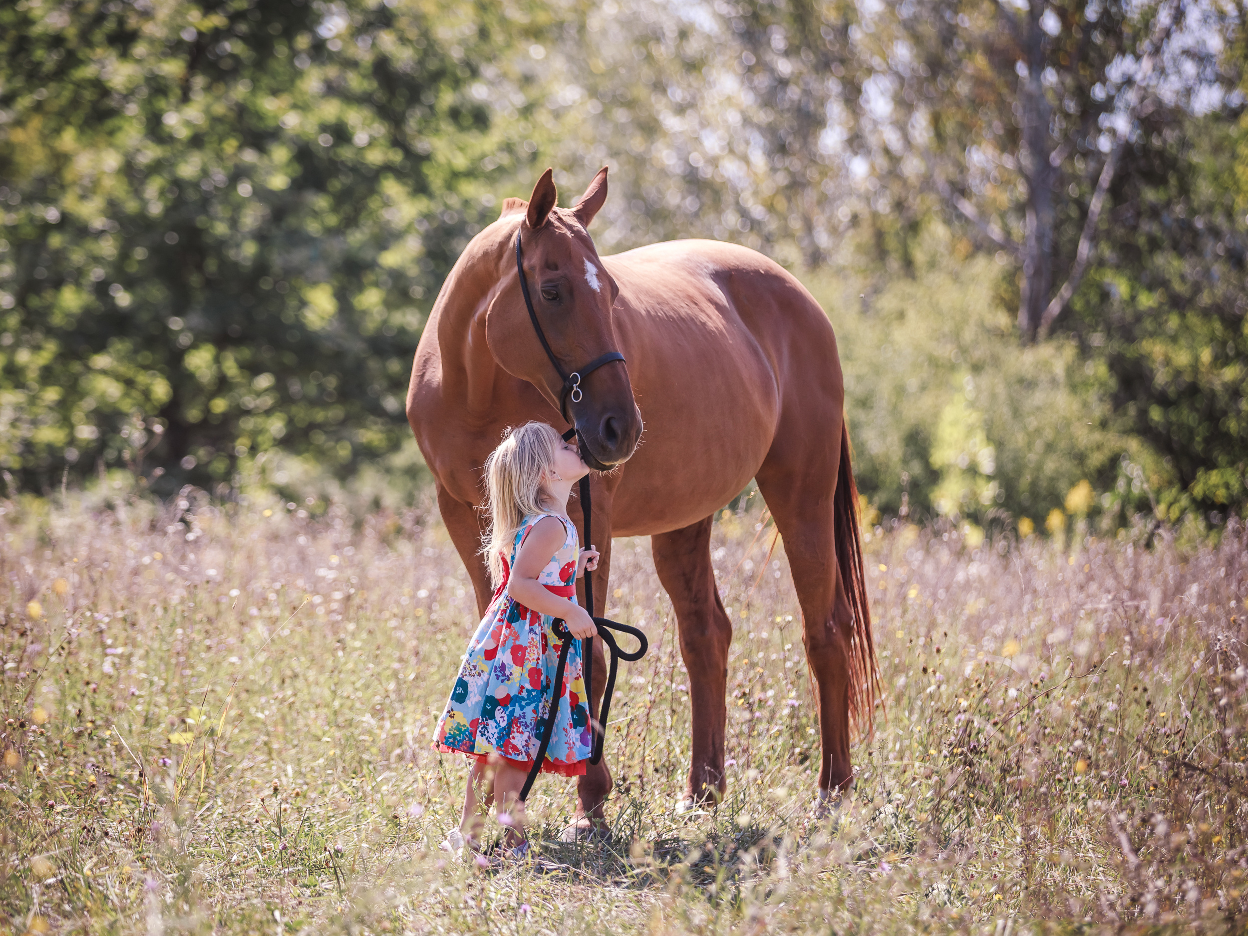 Tender relationship of a little girl and a big beautiful horse. (Adobe Stock-#354694925 │ Елизавета Мяловская)