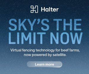 Halter Advertisement