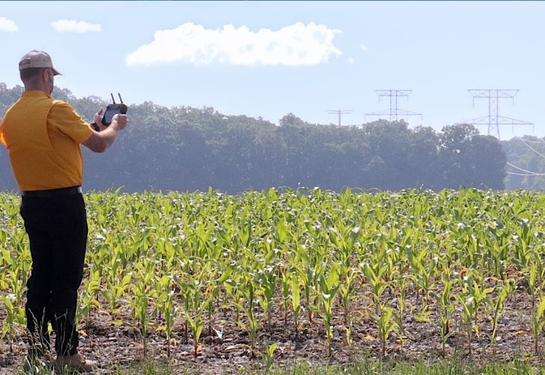 Rusty Lee, MU Extension field specialist in agricultural systems technology, used AI and drone technology last season to diagnose irregular corn stands caused by a malfunctioning toolbar on a producer’s anhydrous ammonia applicator. (Photo by Linda Geist)