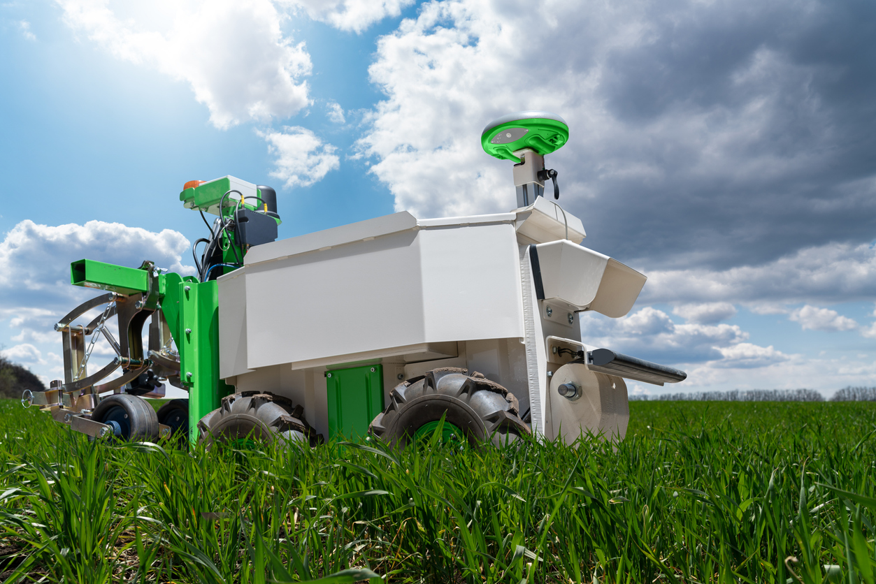 Autonomous wheeled robot is working in an agricultural field. (iStock-#2154856573 │ Scharfsinn86)