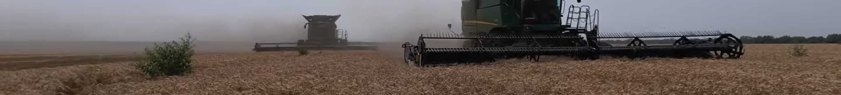 Hayden on Harvest Racing Storms