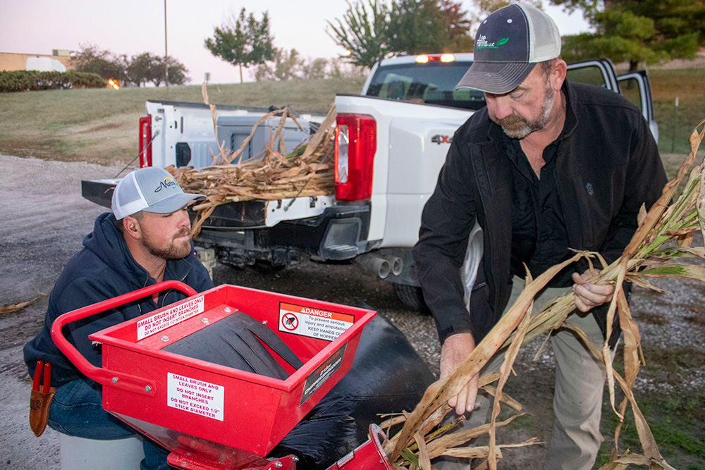 Milo producers and MU employees William Lee, left, and his father, Rusty, right, are researching the use of scrapped milo byproducts as a high-energy winter feed when supplemented by protein and other nutrients. (Photo by Linda Geist)