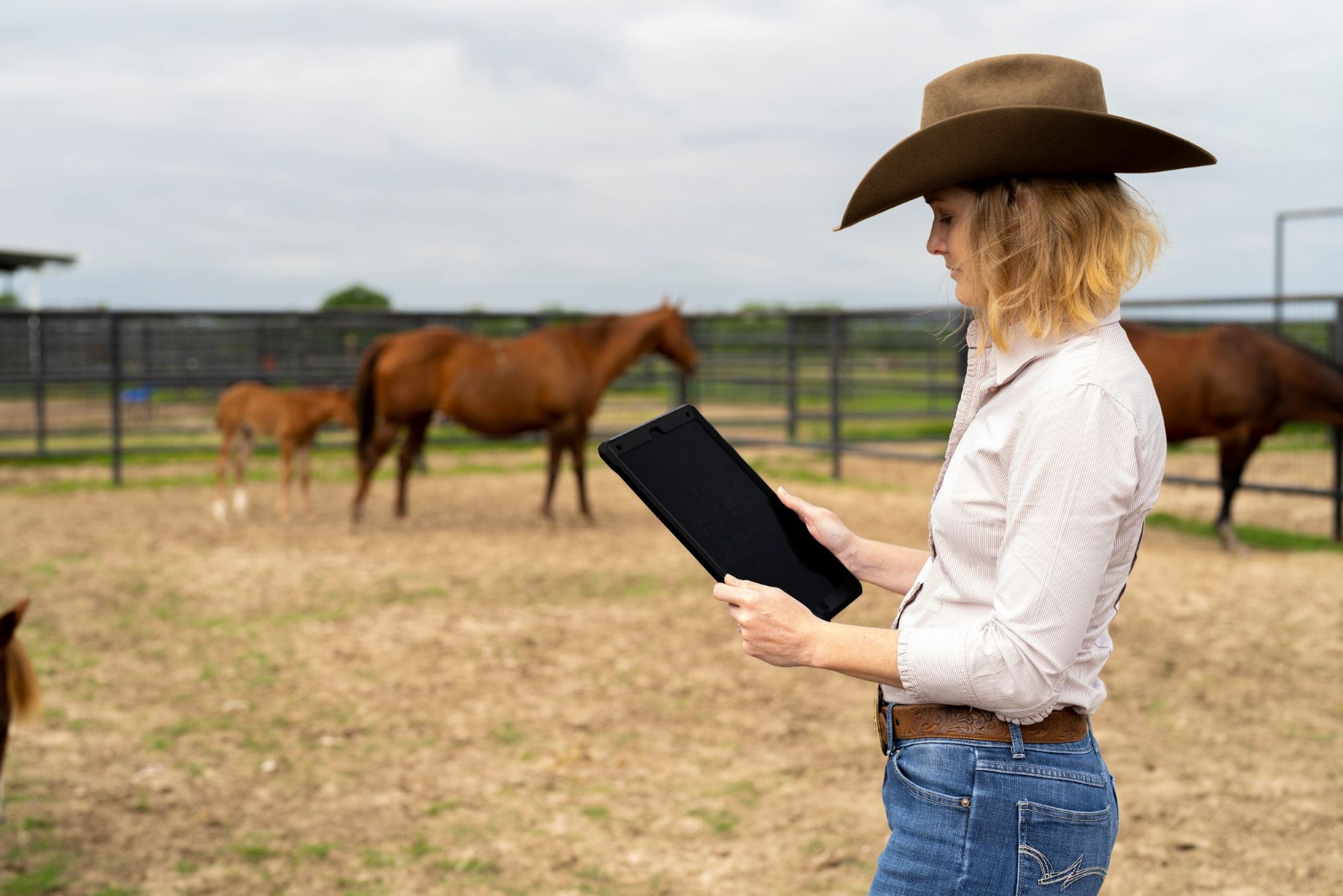 A new statewide alert system designed to notify Texans about agricultural threats, wildlife diseases, invasive pests and quarantine actions is now available through the Texas A&M AgriLife Extension Service.(Michael Miller/Texas A&M AgriLife)