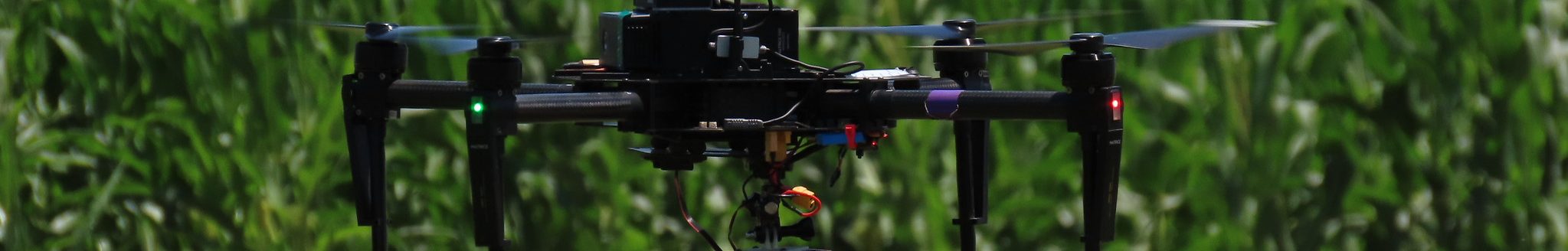Drone in a corn field. (K-State Research and Extension)