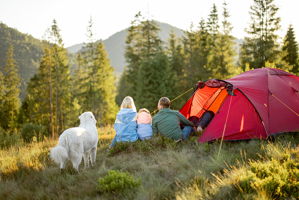 Family with a kid and dog enjoy great view on mountains while sit together at campsite near the tent. (Adobe Stock-#527219820 │ rh2010)