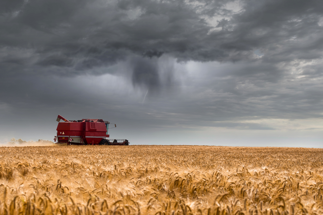 Combine harvester in action before the rain arrives. (iStock-#1162501496 │ DEBOVE SOPHIE)