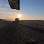 Hayden on Harvest Problem For Central Texas Wheat Harvest