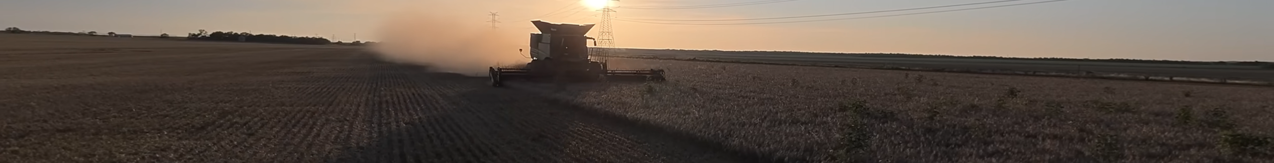 Hayden on Harvest Problem For Central Texas Wheat Harvest