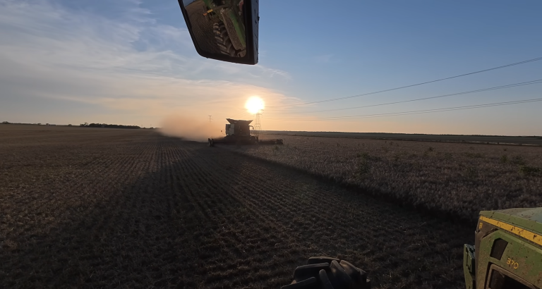 Hayden on Harvest Problem For Central Texas Wheat Harvest