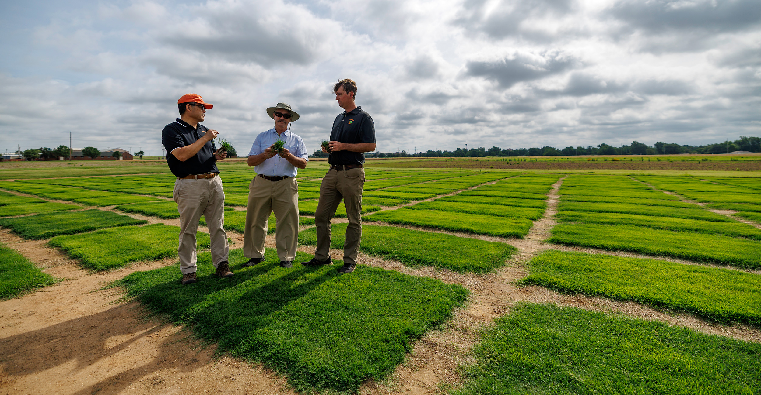 The World Cup Final will be played on Tahoma 31, a warm-season bermudagrass developed by OSU Agriculture researchers that has become the industry standard for sports complexes worldwide. (Photo by Mitchell Alcala, OSU Agriculture)