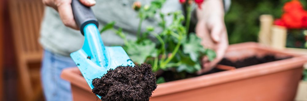Putting soil or compost into flowerpot by shovel. (Adobe Stock-#345372698 │ encierro)