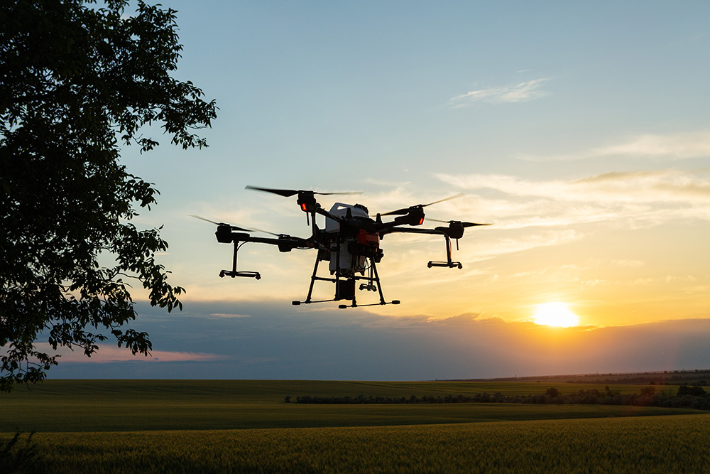 Farmer technicians remotely fly agricultural drones to fly to spray fertilizer in fields. (Adobe Stock-#571192845 │ Budjak Studio)