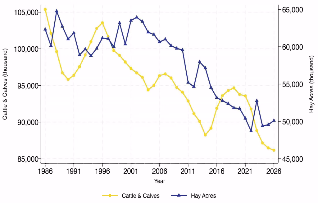 Figure 4. U.S. hay harvested acres and total cattle from 1986-2026.